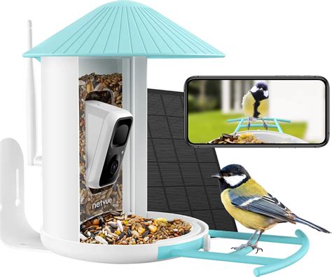 NETVUE by Birdfy Smart Bird Feeder Camera: Auto-Capture & Notify Bird ...