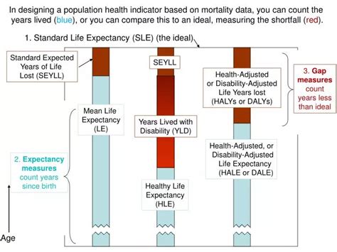 Image result for How to Use Single Life Expectancy Table