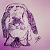 Image result for Bunny Drawing
