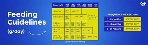 Wiggles EveryDawg Dry Puppy Dog Food, 1.2kg (Chicken, Oats & Vegetables ...