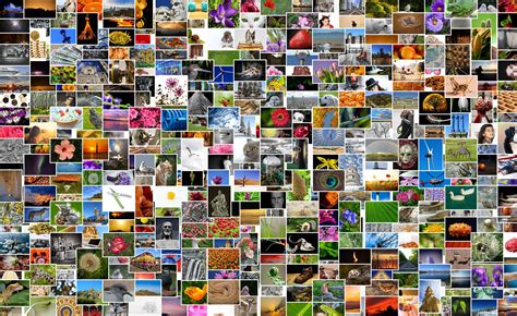 Image result for Multi-Line F String Python