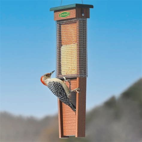 Pileated Woodpecker Suet Shield™ Wrap Feeder - Duncraft