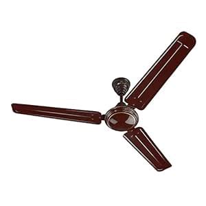 Bajaj Archean 1200 mm Ceiling Fan (Brown) : Amazon.in: Car & Motorbike