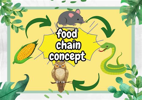 How Food Chain Works at Francis Seal blog