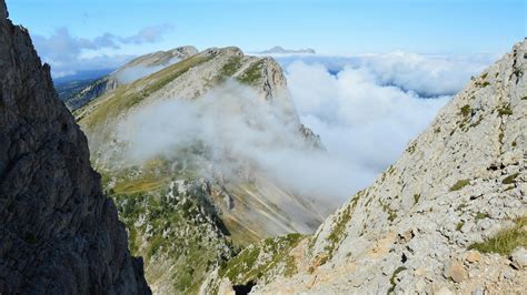 Forest Landscape High Resolution 的图像结果