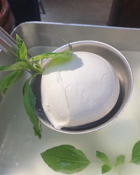 Buffalo Mozzarella from Raw Milk - The Hopsack
