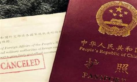 假如外国人获得中国国籍，身份证上应该填什么民族？果真大开眼界|国籍|民族|外国人_新浪新闻