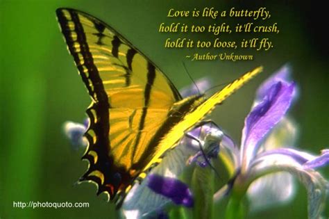 Spring Butterfly Quotes. QuotesGram