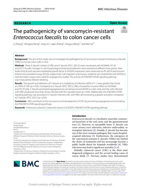 Image result for Enterococcus Faecalis Colon Cancer