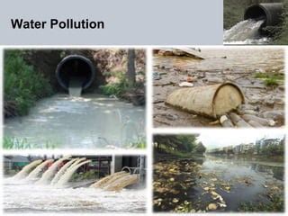 Image result for Environmental Problem On Local Level