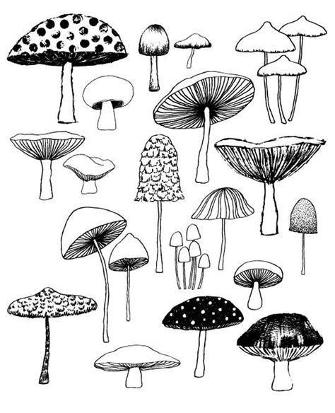 Mushrooms limited edition giclee print | Etsy | Doodle art, Stuffed ...