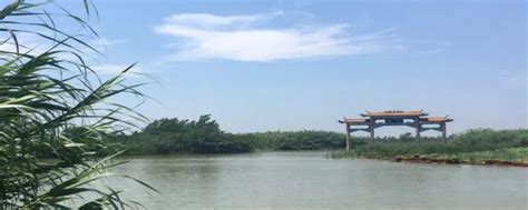 泗阳生态环境局组织观摩泗洪县城北污水处理厂湿地-国际环保在线