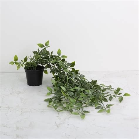 Buy Gardenia Plastic Artificial Leaves in Hanging Pot from Home Centre ...