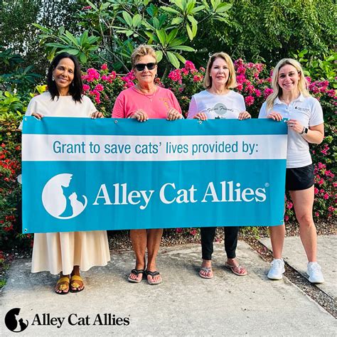Alley Cat Allies Expands Lifesaving Action for Cats on the Cayman Islands | Alley Cat Allies