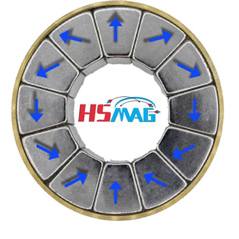 Image result for Halbach Array Motor