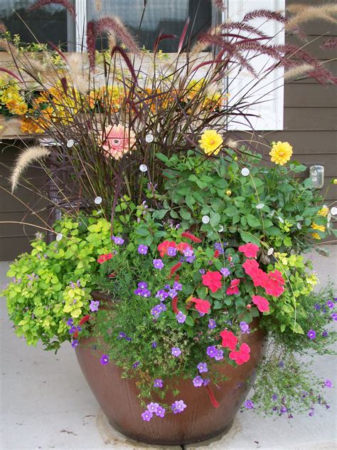 Best Plants For Container Gardens at Lucas Cade blog