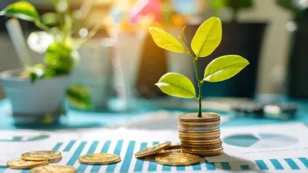 Major Impacts of RBI Repo Rate Hikes