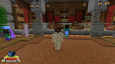 Best Java Survival Servers 的图像结果