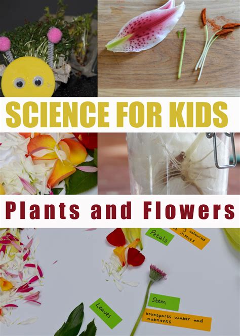 Image result for Class 1 Science Experiments