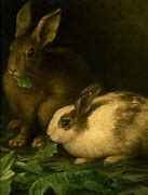 Image result for Rabbit Canvas Art