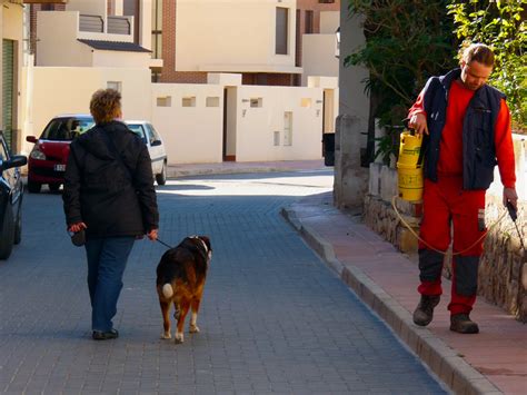 Image result for GIMP Two Colour Tutorial