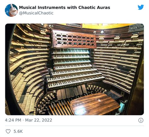 Image result for Weirdest Musical Instruments