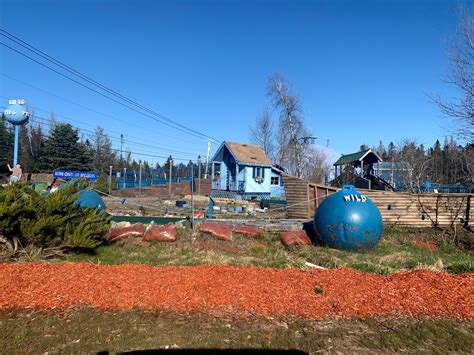 Wild Blueberry Land - Go Wandering
