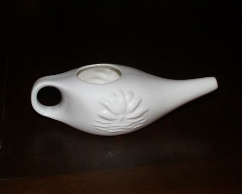 Neti Pot Tutorial 的图像结果