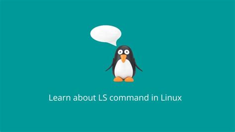 Image result for Linux LS Command in Ubuntu