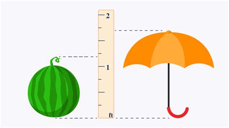 Image result for Measure Length