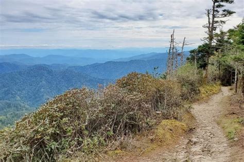 Mount LeConte hike ⛰ What is the best trail to get to Mt LeConte summit ...