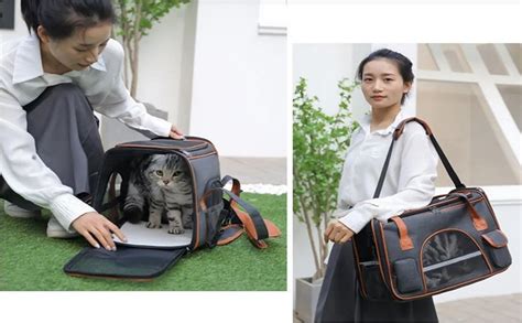 Glaceon Pet Carrier Airline Approved, 2 Sides Expandable Cat Carrier ...