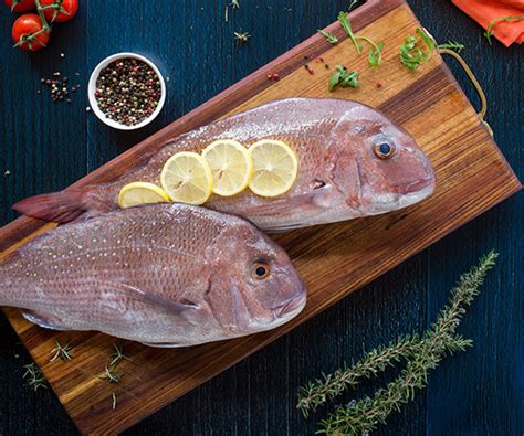 Image result for Sea Snapper