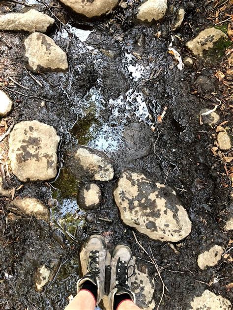 DEC Adirondack Outdoor Recreation Bulletin - July 20, 2023