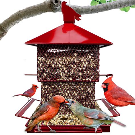 Amazon.com : Audubon Seeds 'n More Metal Hopper Bird Feeder Model 7452R ...