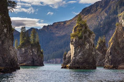 Seward Alaska RV Parks: Best Camping Spots for Your Adventure