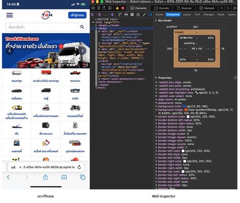 Localhost Website 的图像结果
