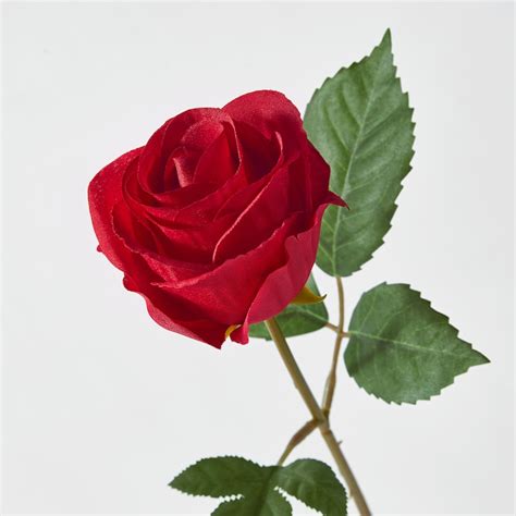 SMYCKA artificial flower, in/outdoor/Rose red, 40 cm (15 ¾") - IKEA