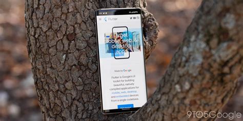 Image result for Flutter Google API Full App