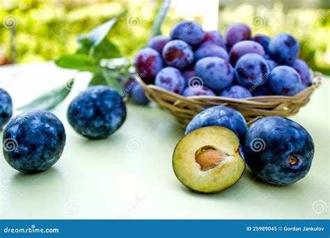 Damson - plums stock image. Image of delicious, tasteful - 25989045