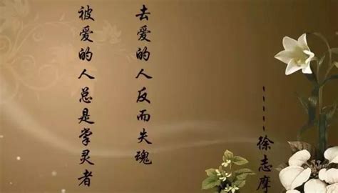 八首最经典的诗，品读徐志摩的一生！