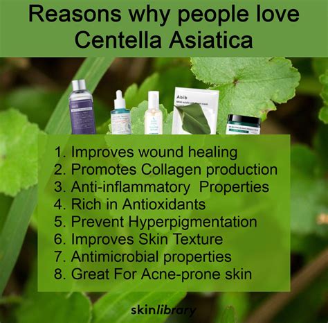 Centella Asiatica aka Cica Skincare benefits | Skin care solutions, Improve skin texture, Skin ...