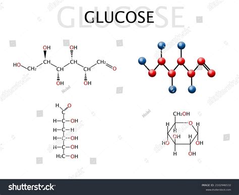 Glucose Molecule Model Linear