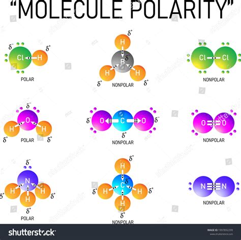 Nonpolar Images, Stock Photos & Vectors | Shutterstock