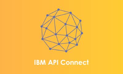 IBM API Connect Training 的图像结果
