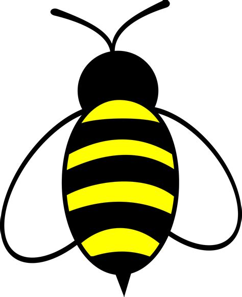 Clipart - bee