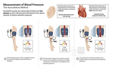 Mean Arterial Pressure Calculator – My Endo Consult