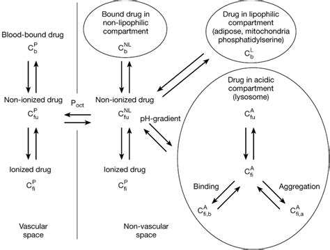 Tissue Distribution 的图像结果