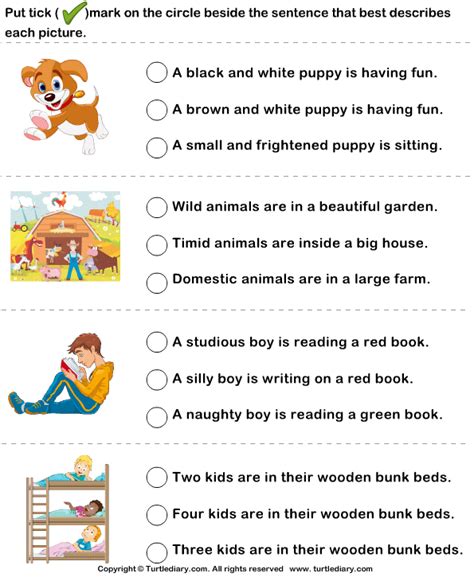 Describe Pictures with Sentences Worksheet - Turtle Diary