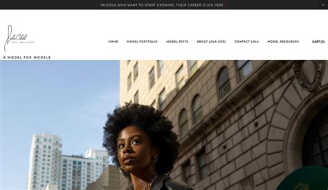 Image result for Sample Model Portfolio